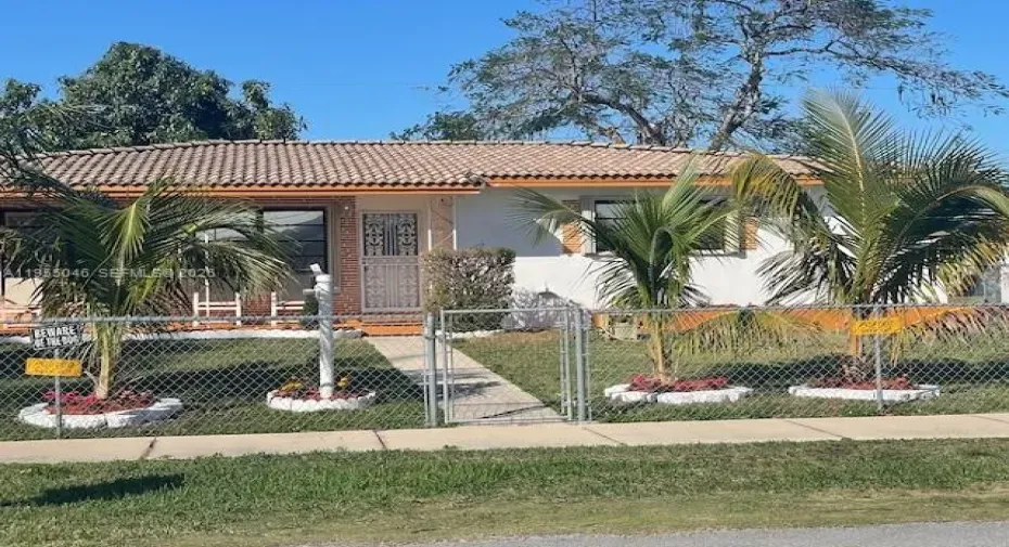 Beautiful Palm trees. Landscaping.