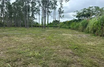Land For Sale