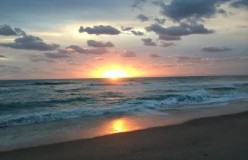 2013-01-23 07.11.30