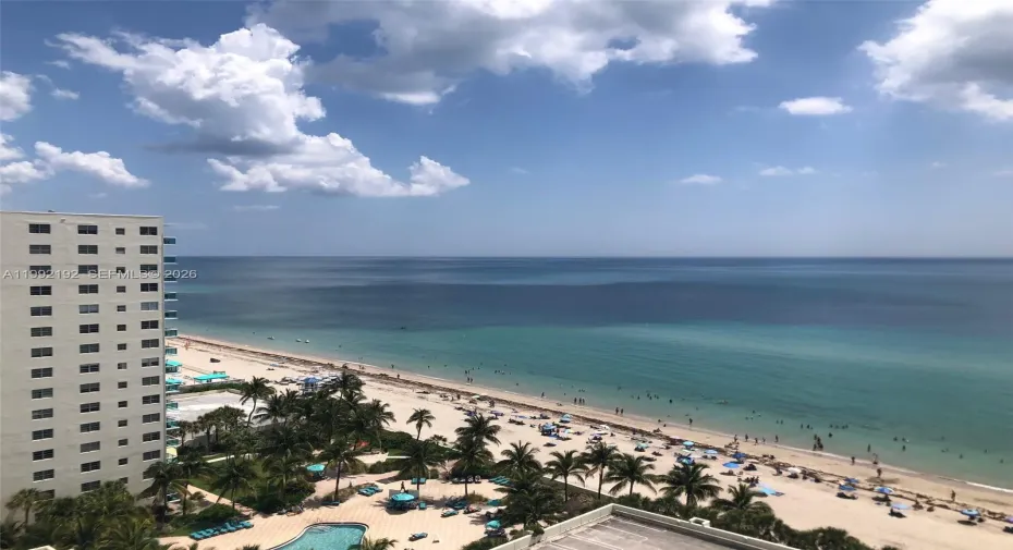 NE ocean view