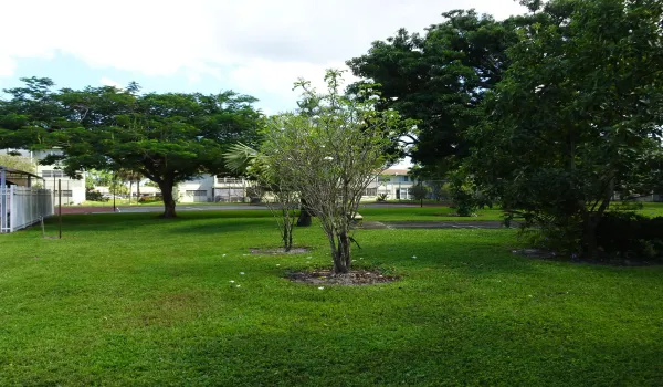 DSC03224