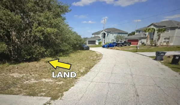 LAND-1