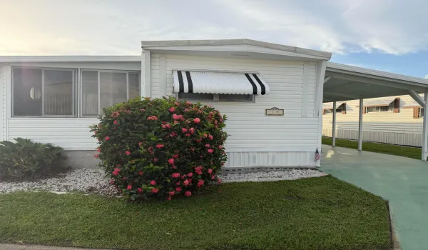 lot 119 front