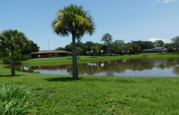Lake view
