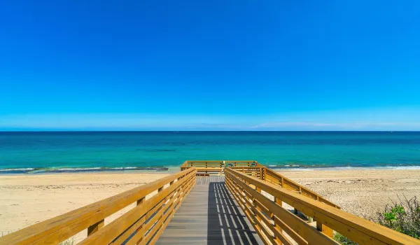 Beach & Ocean
