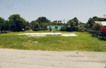 Level lot with a partial concrete slab and surrounding mature vegetation