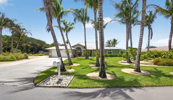 3-web-or-mls-5D1A4051