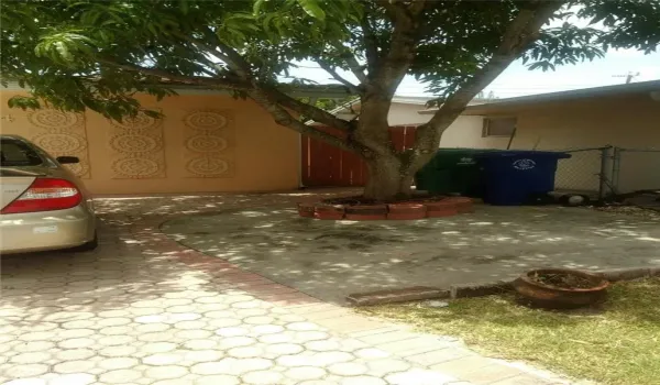 Vaneita 1