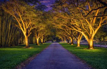 DRIVEWAY - ENHANCED