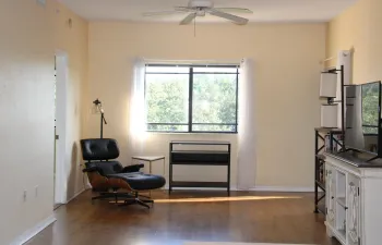 Living room area