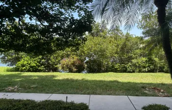 Patio and walk way