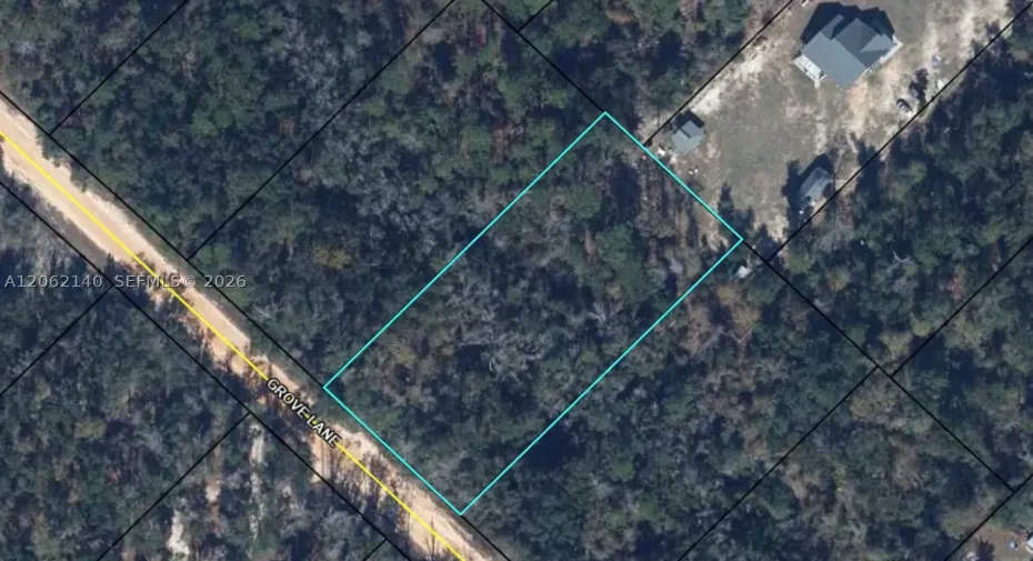 Lot 12