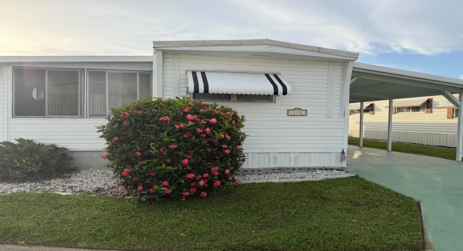 lot 119 front