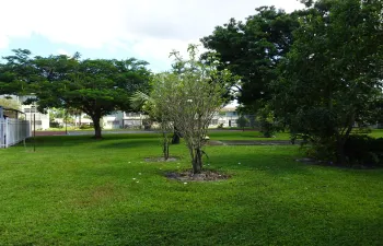 DSC03224