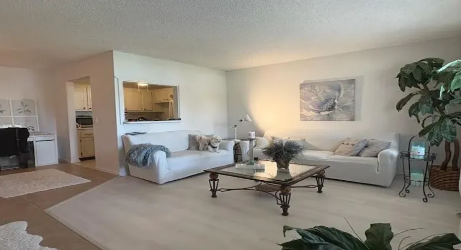 open living room area