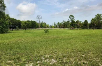 Land pic 1