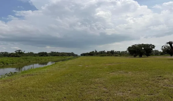 Canal View