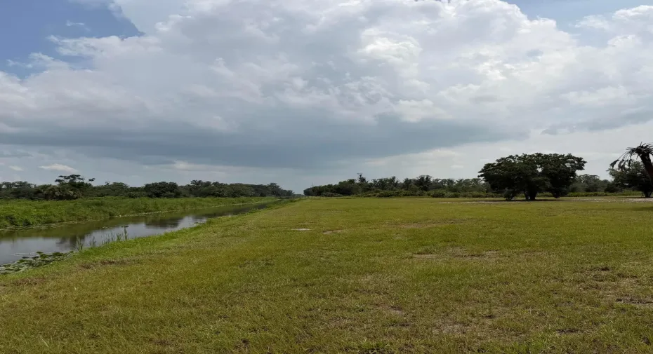 Canal View