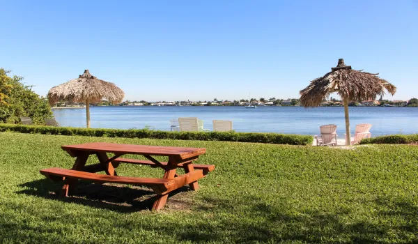 Picnic Area
