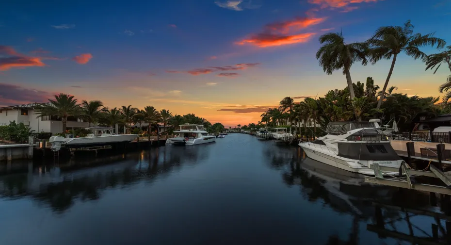 Waterfront canal featuring private docks and mature palm trees