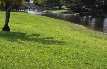 20260724_155220