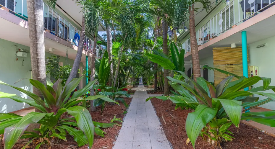Walkway from gated entrance to the unit.