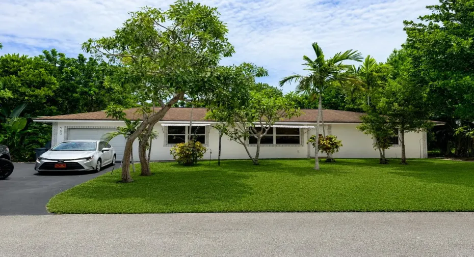 Front Yard