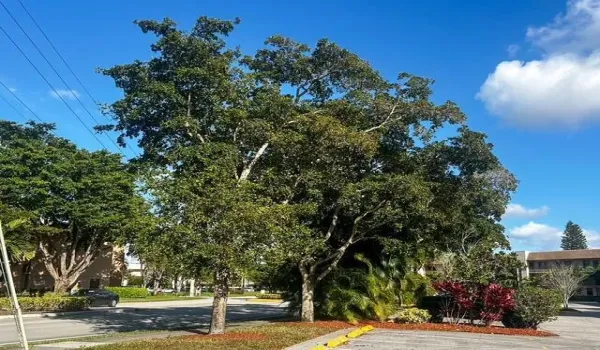Parking area
