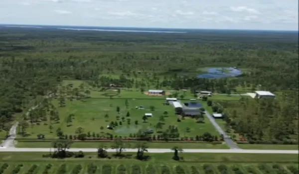Ranch Overview