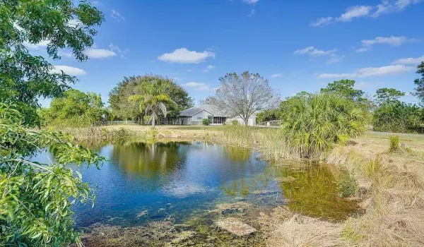 Pond_View