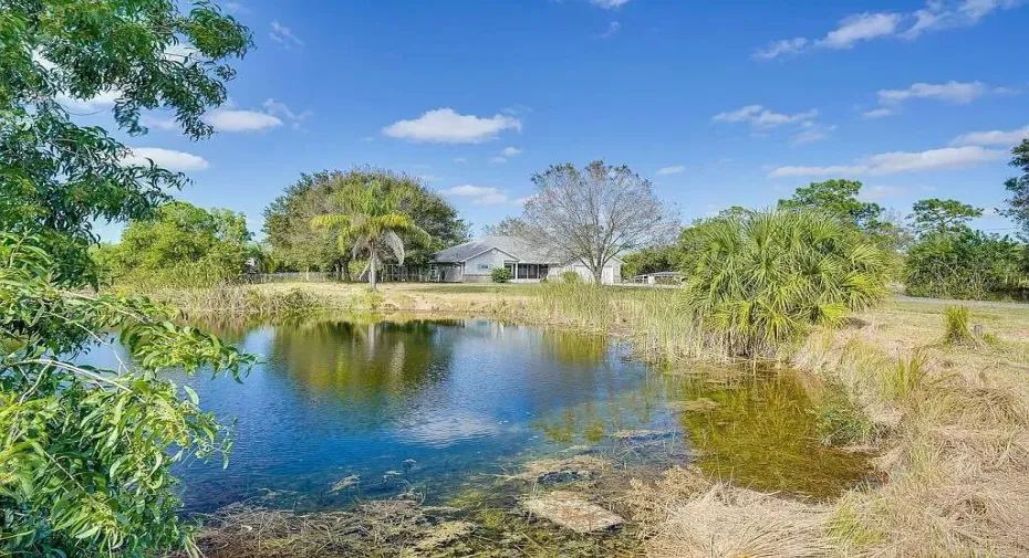 Pond_View