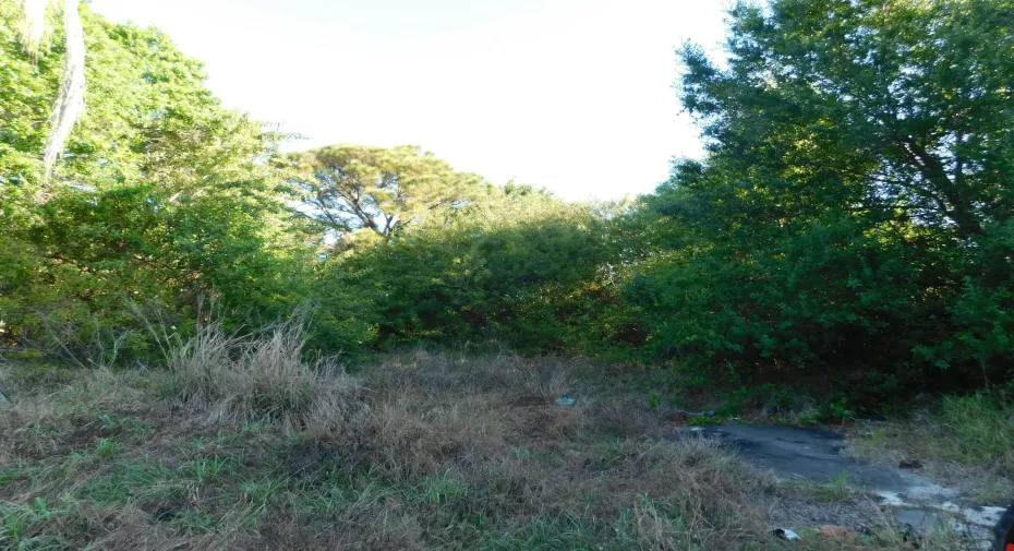 Ocala 2