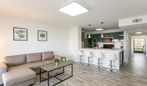 Living Area Through Front Door