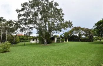 Front of Property with a beautiful oak tree!