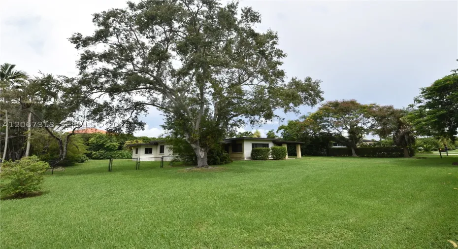 Front of Property with a beautiful oak tree!