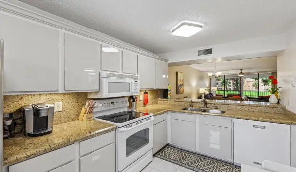 16-web-or-mls-Coral Lake Dr 206-S0608-01