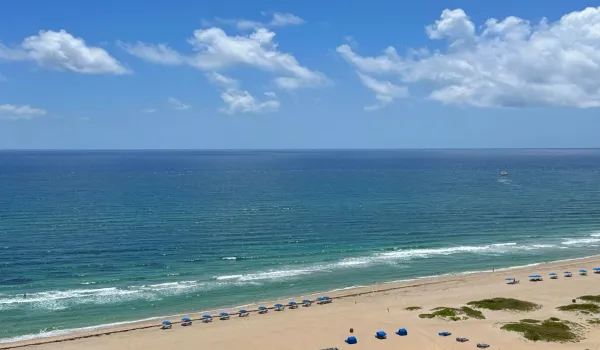 View from Unit