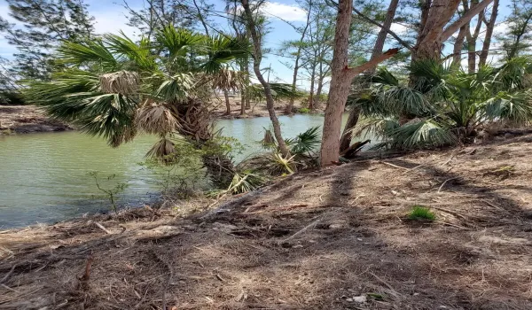 Cape Coral Lot 2