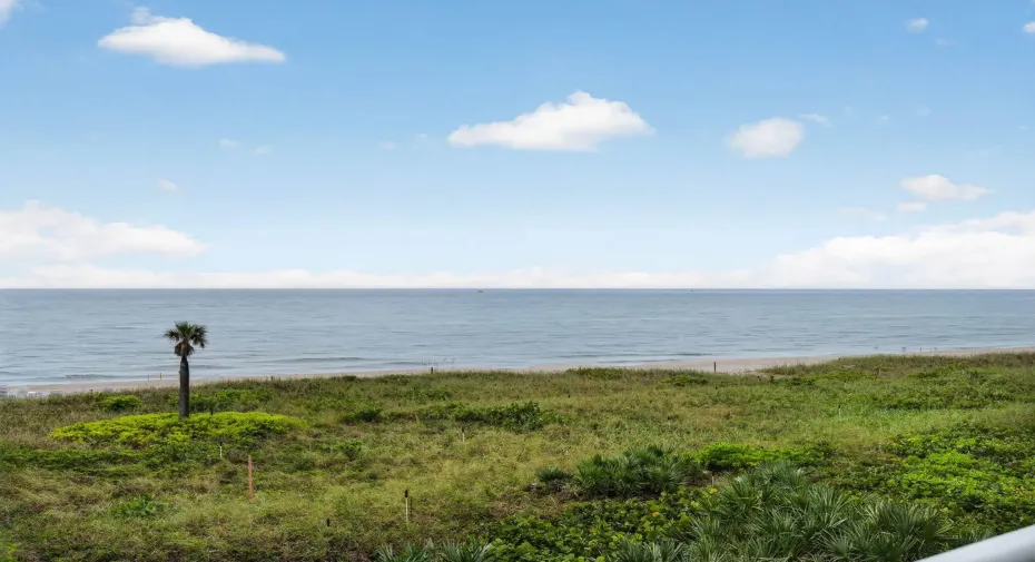 Ocean Views
