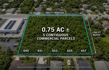 MLS_01_APPROVED_Assemblage_Aerial