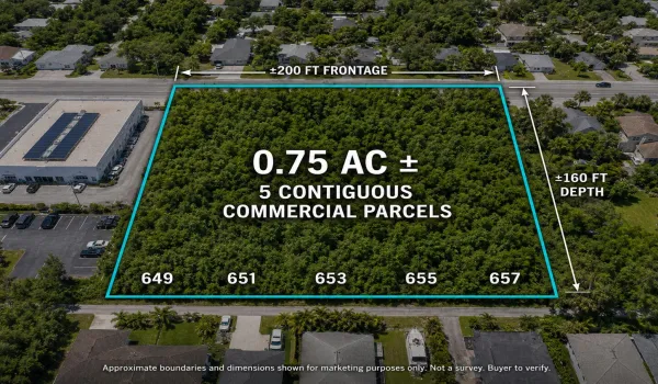 MLS_01_APPROVED_Assemblage_Aerial