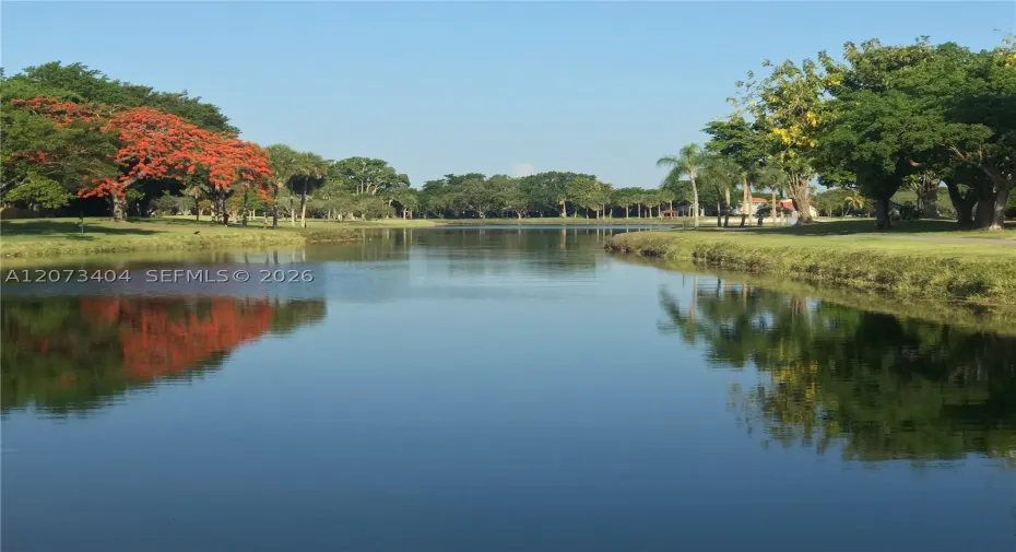EXPANSIVE OUTDOOR AREA BEAUTIFUL AND PEACEFUL