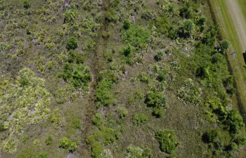 dji_fly_20260819_131852_212_178715996670
