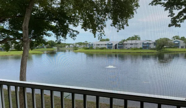 25-web-or-mls-699A5491