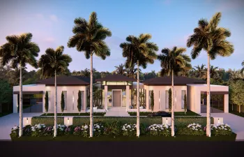 458 ARECA PALM__1