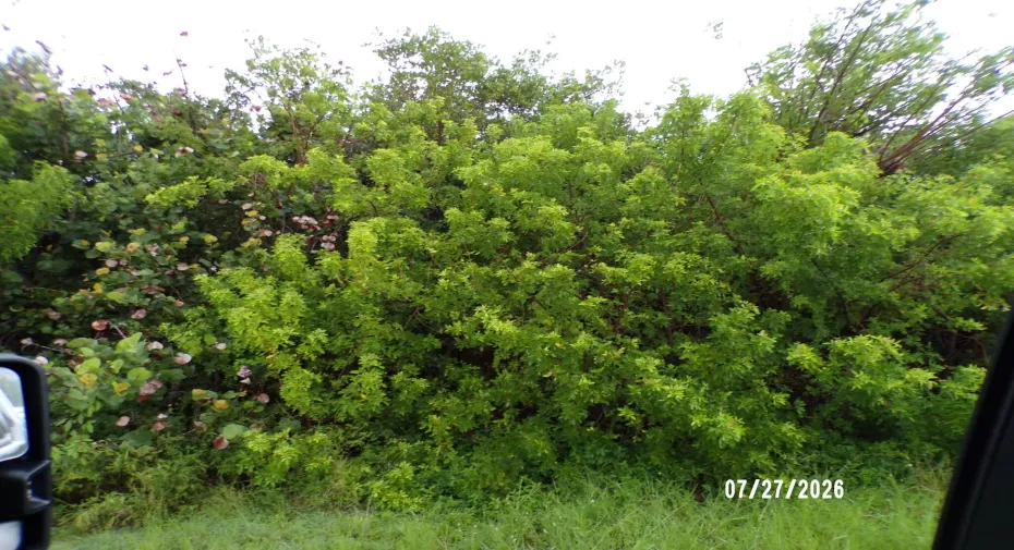 vacant land
