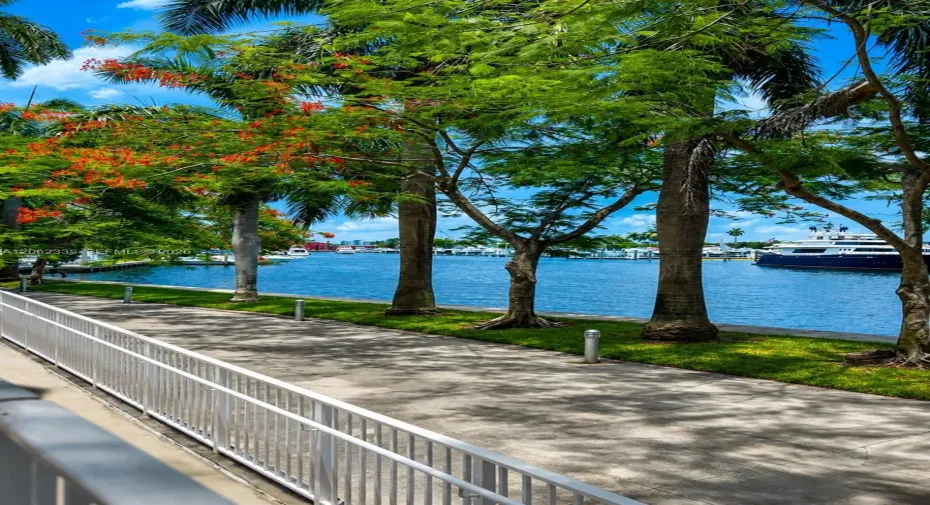 River Deck