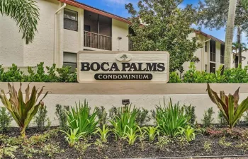 Bocapalms1