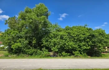 Land For Sale