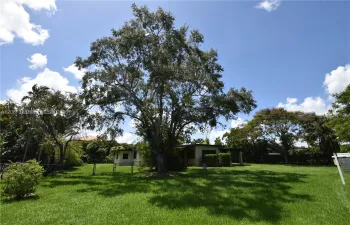 Front of Property with a beautiful oak tree!
